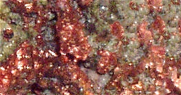 Copper deposits