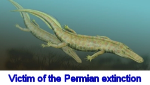 Victim of the Permian extinction