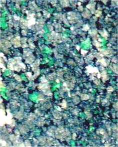 xenolith in kimberlite.